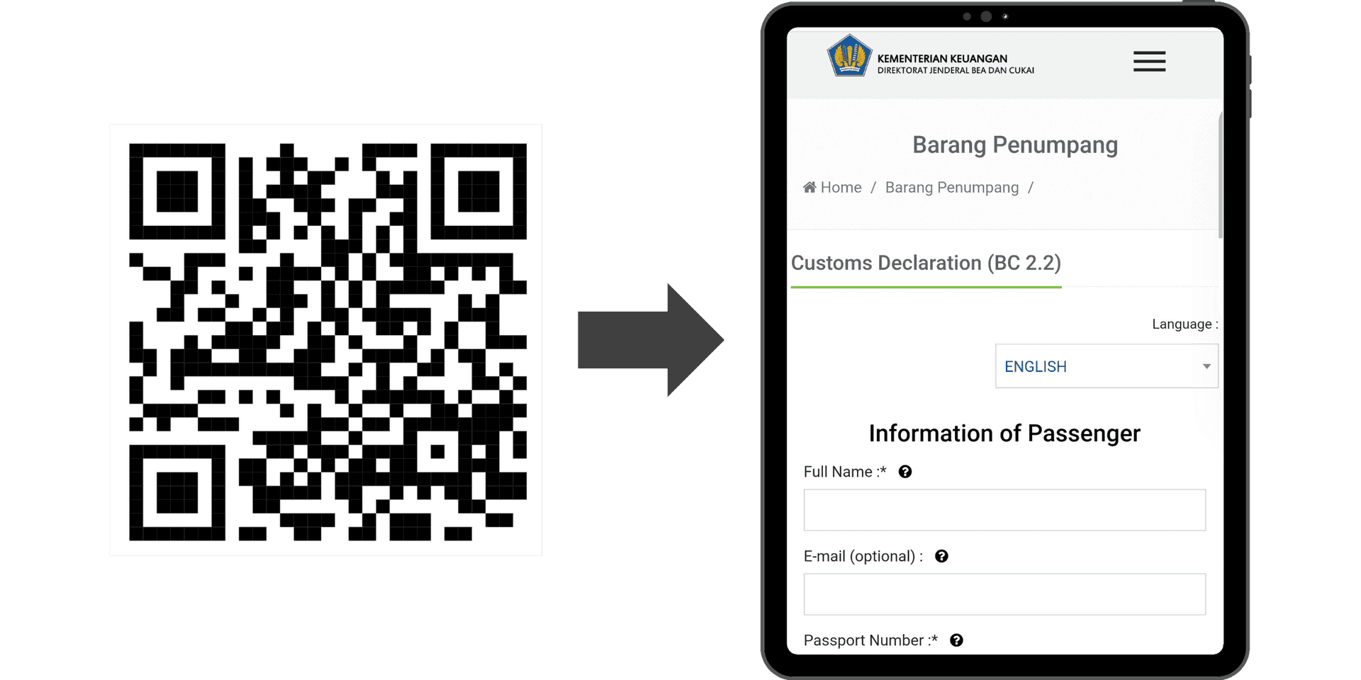 e-Customs Declaration Form